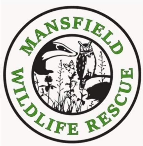 Mansfield Wildlife Rescue logo