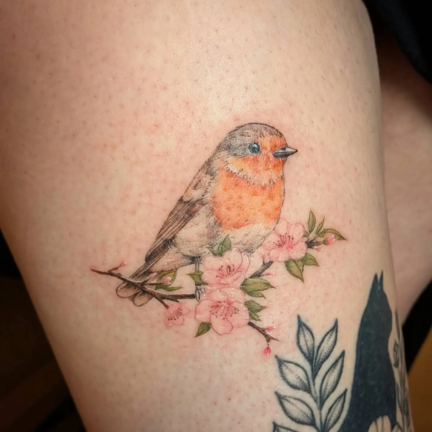 Delicate colour tattoo of a robin perched on a cherry blossom branch