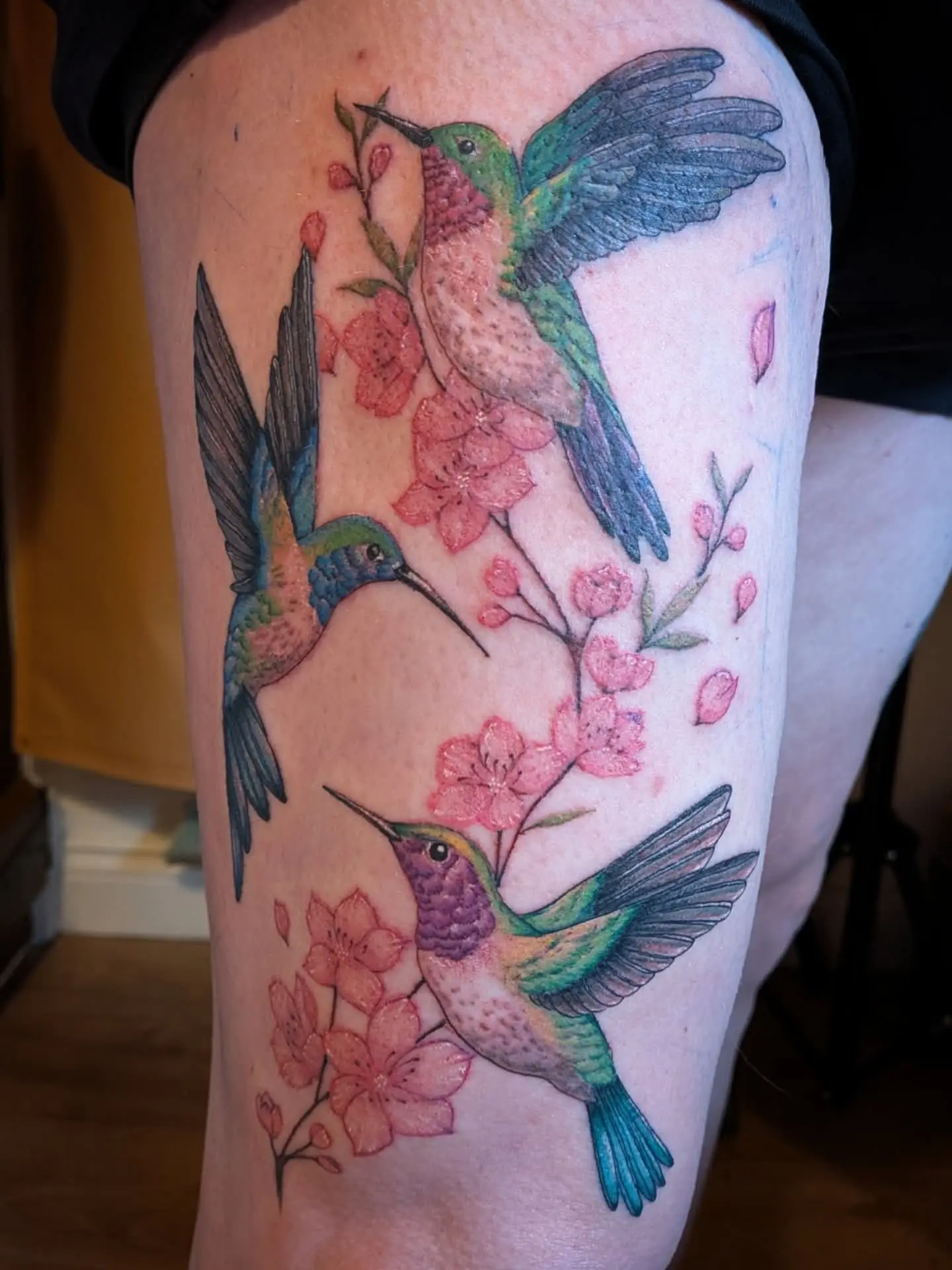 Colour thigh tattoo of three hummingbirds among cherry blossom